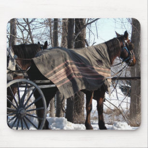 Amish Horses Waiting In Winter Mouse Pad