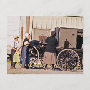 Amish Loading Buggy Postcard