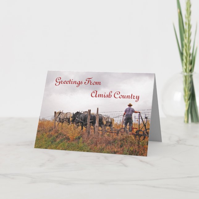 Amish Man Cutting Field Greeting Card (Front)