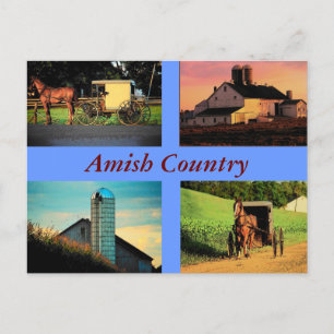 Amish Montage Postcard