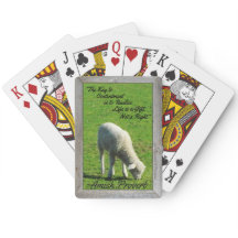 Amish Proverb! Cute Lamb! Amish Farms!