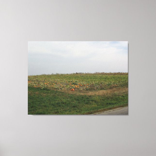 Amish Pumpkin Patch Farm Photography Wall Art (Front)