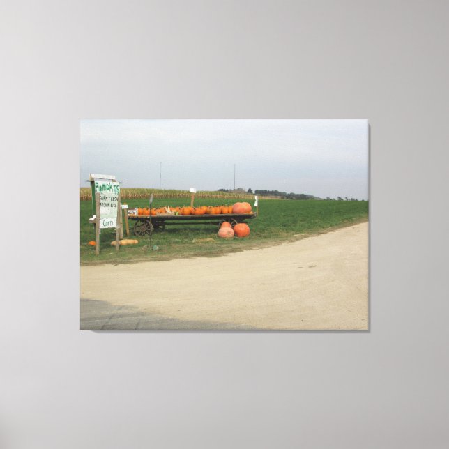 Amish Pumpkin Patch Farm Photography Wall Art (Front)
