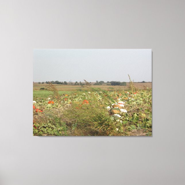 Amish Pumpkin Patch Farm Photography Wall Art (Front)