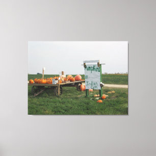 Amish Pumpkin Patch Farm Photography Wall Art
