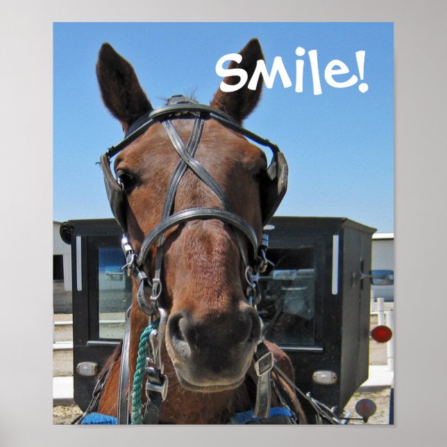 Amish Smile Poster (Front)