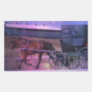 Amish Space Rectangular Sticker