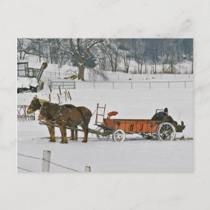 Amish Winter Farmer On Spreader-Postcard Postcard