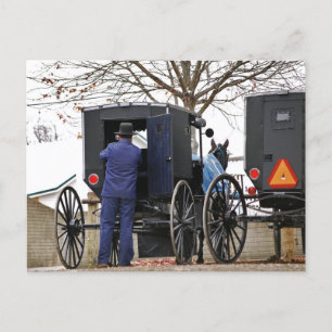 Amishman Loading Buggy Postcard