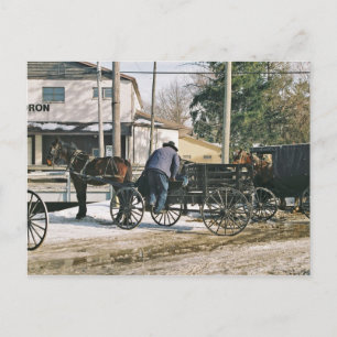 Amishman Parking Buggy Postcard