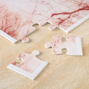 Amityville Puzzle