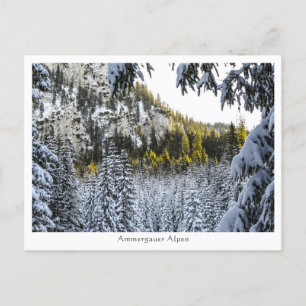 Ammergauer Alpen Postcard
