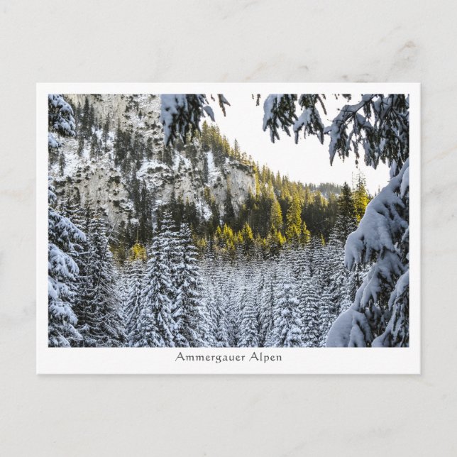 Ammergauer Alpen Postcard (Front)