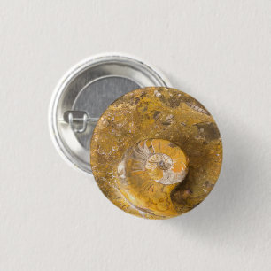 Ammonite and Other Fossils in Rock Photo 3 Cm Round Badge