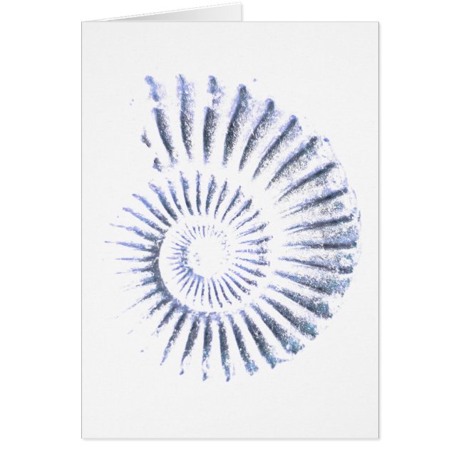 Ammonite fossil (Front)