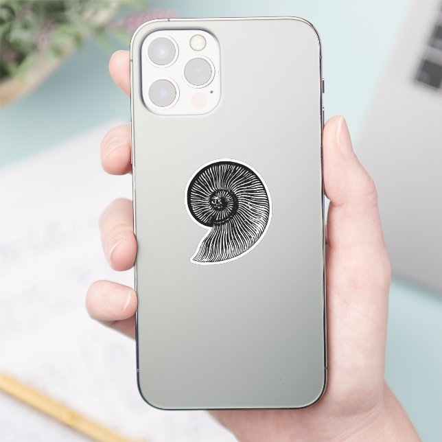 Ammonite Fossil (Phone)