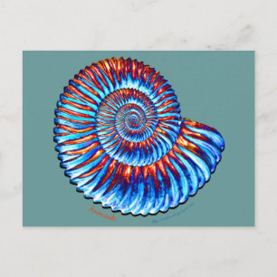 Ammonite fossil postcard