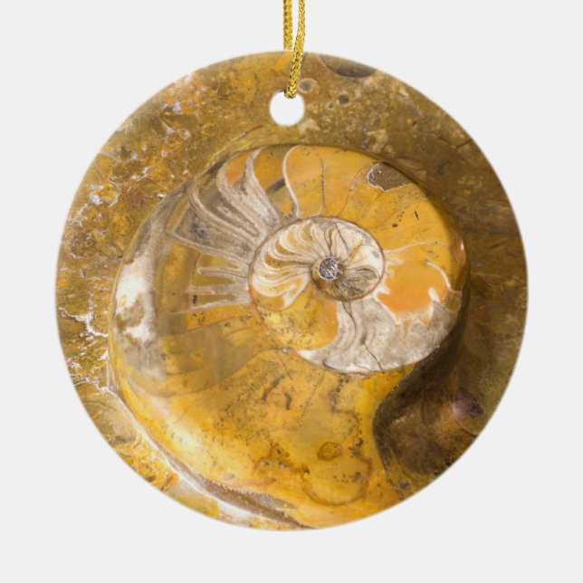 Ammonite Fossil Rock Nature Photography Ceramic Or Tree Decoration (Front)