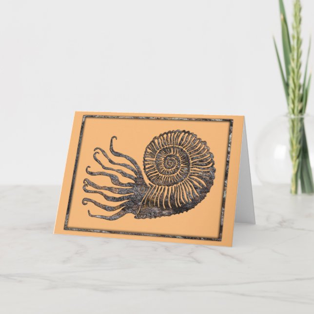Ammonite Fossil Talking Canyons, New Mexico Card (Front)