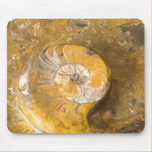 Ammonite Fossils in Rock Photography Rockhound Mouse Pad