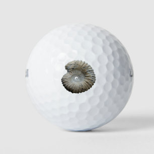 ammonite golf balls