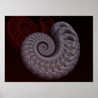 Ammonite Shell Poster