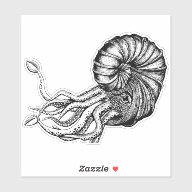 Ammonite sticker (Sheet)