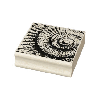 Ammonite texture rubber stamp