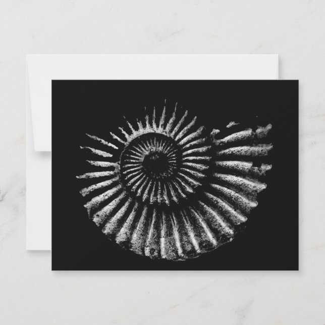 Ammonite White on Black Flat Holiday Card (Front)