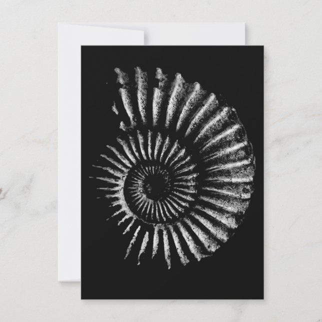 Ammonite white on black holiday card (Front)