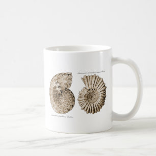 Ammonites Coffee Mug