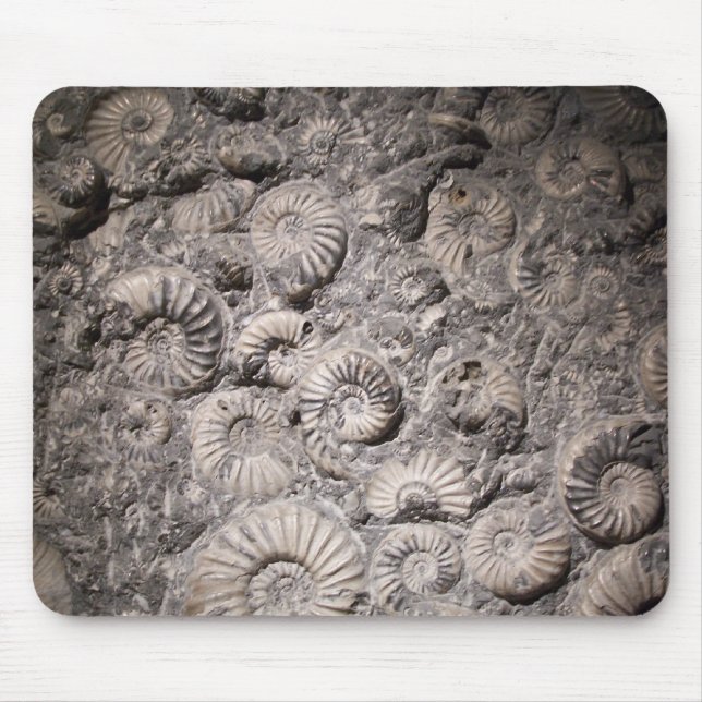 Ammonites Mouse Pad (Front)