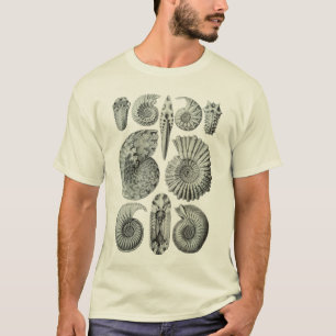 Ammonites T-Shirt