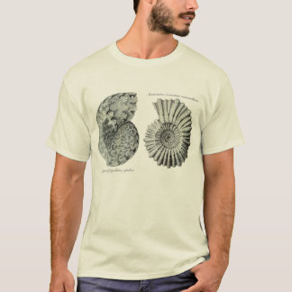 Ammonites T-Shirt