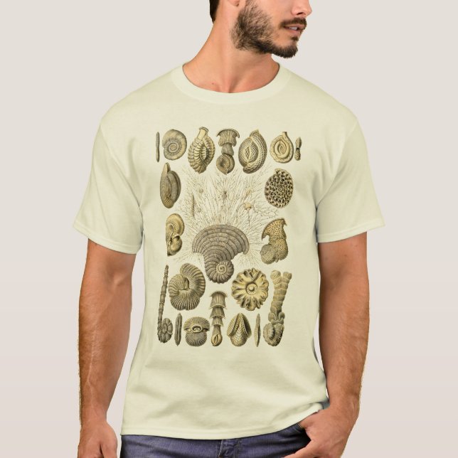 Amoeba T-Shirt (Front)
