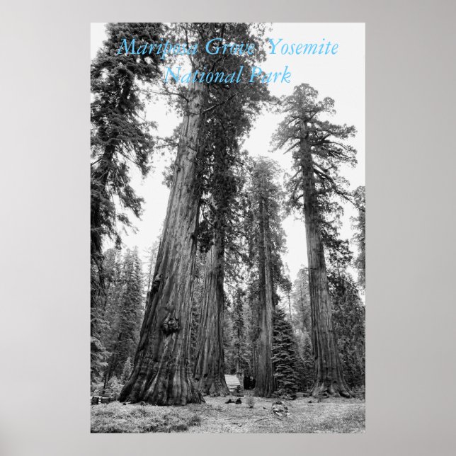 Among Giants poster (Front)