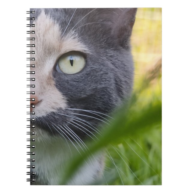 Among Stalks – Kobayashi in Green Notebook (Front)