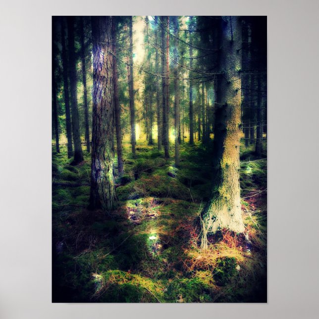 Among The Fairies Poster (Front)