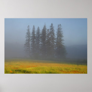 Among The Haze Poster