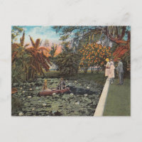 Among the Lillies and Palms of Florida