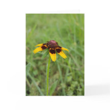 Among the Wildflowers Notecards (Blank Inside)
