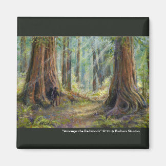 “Amongst the Redwoods” Magnet