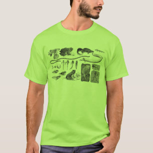 Amphibian Evolution T-Shirt