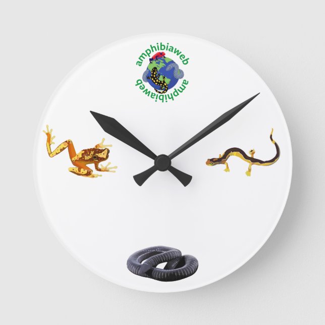 AmphibiaWeb Clock (Front)