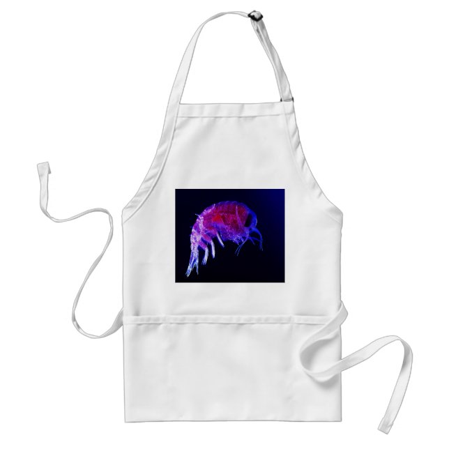 Amphipod Hyperiidae Hyperia Macrocephala Standard Apron (Front)