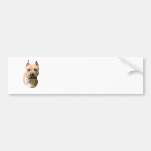 Amstaff Bumper Sticker (Front)
