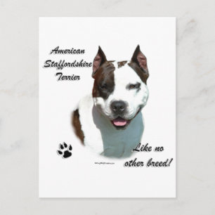 AmStaff Like No Other Breed Postcard