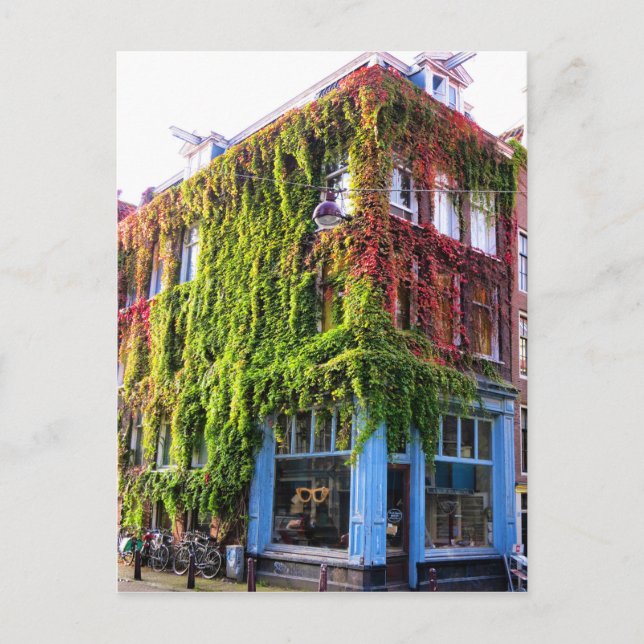 Amsterdam Autumn Vines Architecture Postcard (Front)