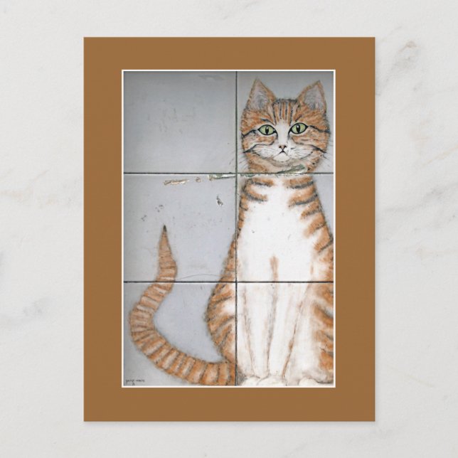 Amsterdam Cat Postcard (Front)