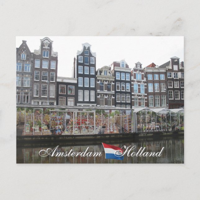 Amsterdam Flower Market Holland Postcard (Front)